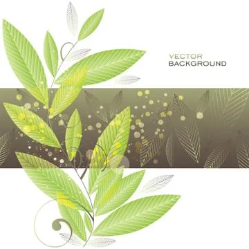Green leaves background Stock Illustration