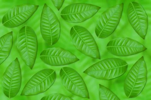 Green leaves background Stock Photos