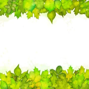 Green leaves background vector Illustrazione stock