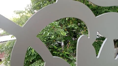 Green leaves behind the wall gap Stock Footage 326016782