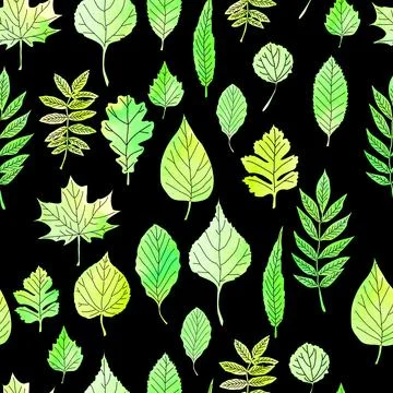 Green leaves on a black background Stock Illustration