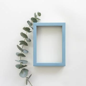 Green leaves blue border empty blank frame white backdrop Stock Photos