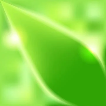 Green leaves blurred background Stock Illustration