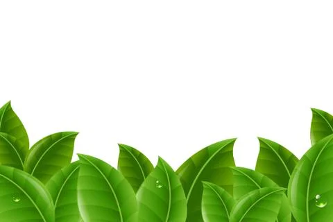 Green Leaves Border Stock Illustration