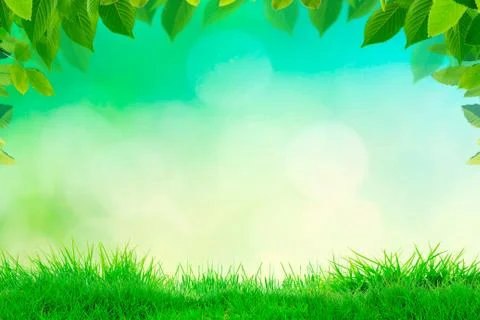 Green leaves border on spring or summer background Stock Photos