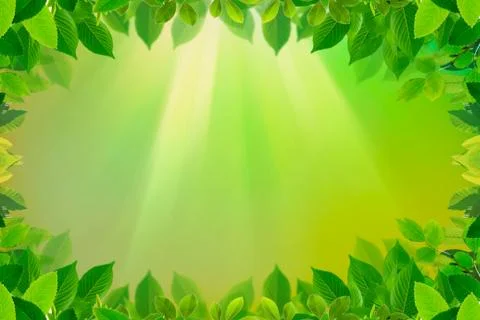 Green leaves border on spring or summer background Stock Photos