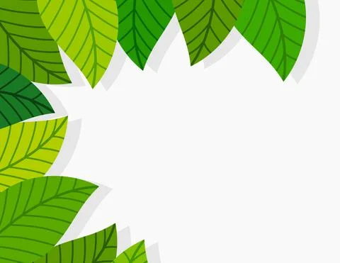 Green leaves border. Vector illustration. Stock Illustration