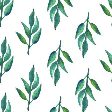Green leaves on branch seamless pattern. Watercolor botanical illustration Stock Illustration