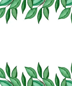 Green leaves branches frame design, watercolor foliage illustration Stock Illustration