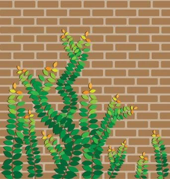 Green leaves on the brick wall vector Stock Illustration