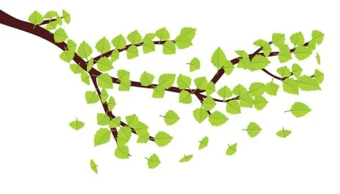 Green leaves on brunch Stock Illustration