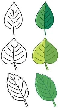 Green Leaves Cartoon Doodle Vector Set with Line Art Outlines Stock Illustration