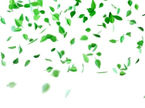 Green leaves cascade downward, creating a soothing visual effect on a prist.. Stock Illustration