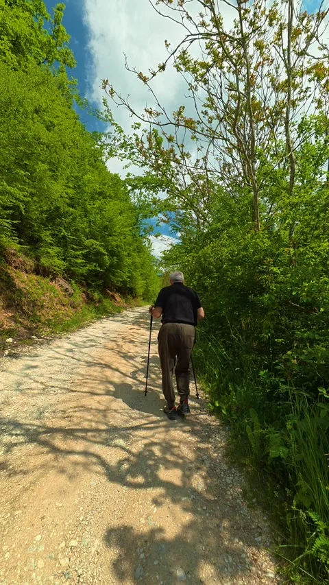 Green leaves cast dappled shadows on dirt path. Vrmdza Lake, Serbia. Vertical Stock Footage 338029089