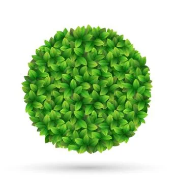 Green leaves circle frame isolated on white Stock-Illustration