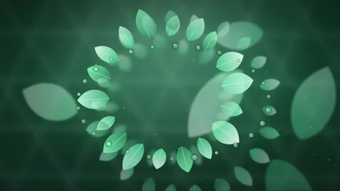 Green Leaves Circular Pattern Loop Stock Footage 344390040