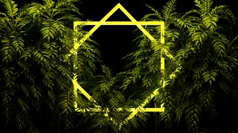 Green leaves in colored neon backlight Stock Footage 165501634