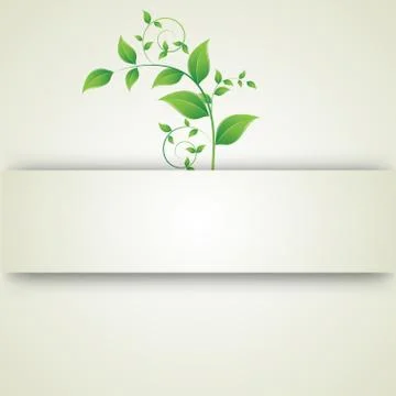 Green leaves curls Stock Illustration