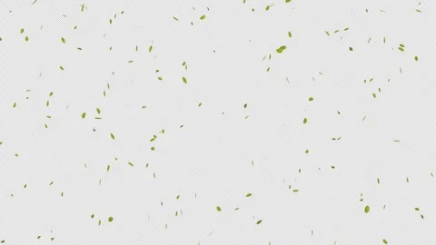 Green leaves drifting slowly to the ground 스톡 동영상 332228036