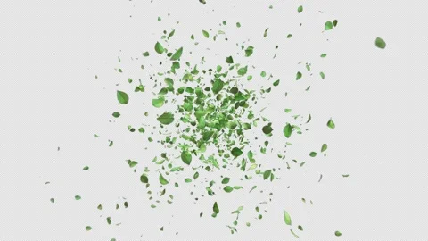 Green leaves exploding and flying to the camera. Stock Footage 258541349