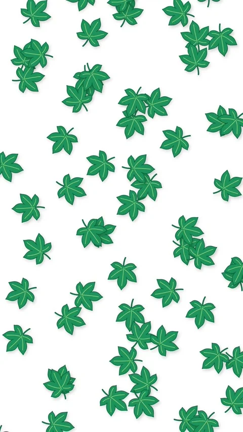 Green Leaves Falling and Floating on White Background Animation Stock Footage 345197976