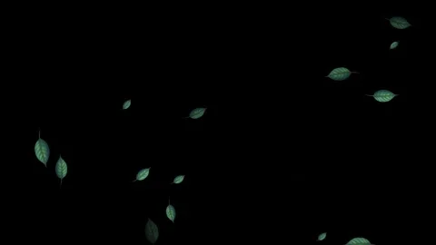 Green Leaves Falling on Black Background Stock Footage 329211021