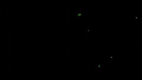 Green Leaves Falling on Black Background Abstract Graphic Stock Footage 329267967