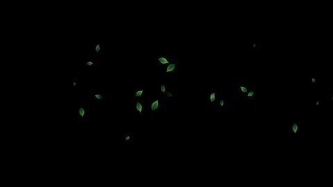 Green Leaves Falling on Black Background Stock Footage 329348351
