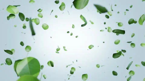 Green Leaves Falling Downwards Particle Animation on Light Blue Background. 4K Видео 334746674