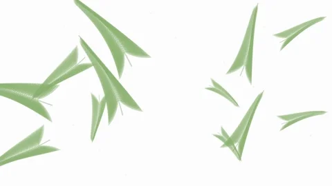 Green Leaves Falling Seamlessly, Motion Graphics Background, Natural Element Stock Footage 346660113