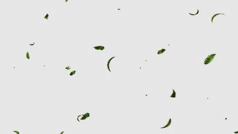 Green Leaves flying with Alpha Channel Stock Footage 280786567
