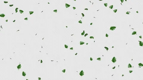 Green Leaves flying with Alpha Channel Stock Footage 280786732