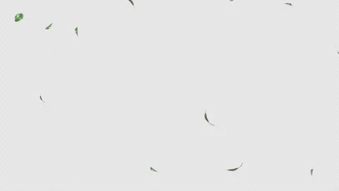 Green Leaves flying with Alpha Channel Stock Footage 280787008