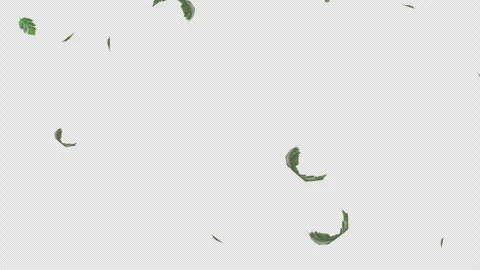 Green Leaves flying with Alpha Channel Stock Footage 280787129