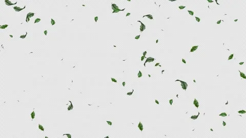 Green Leaves flying with Alpha Channel Stock Footage 280787623