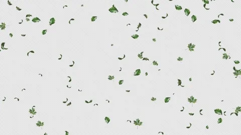 Green Leaves flying with Alpha Channel Stock Footage 280787713