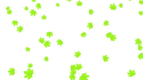 Green leaves flying animation with smooth natural motion. Video stock 336627052