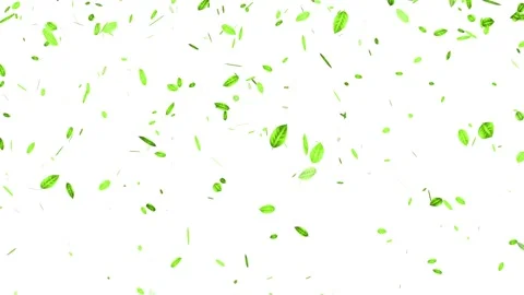 Green leaves flying animation with smooth natural motion. Stockbeeldmateriaal 336627054
