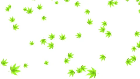 Green leaves flying animation with smooth natural motion. 库存影片 336627281