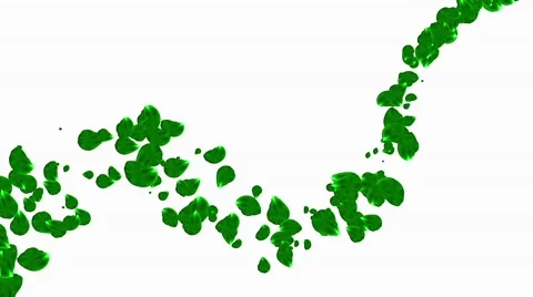 Green Leaves Stock Footage 50757925