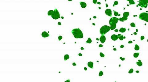 Green Leaves Stock Footage 50758001