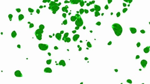 Green Leaves Stock Footage 50758021