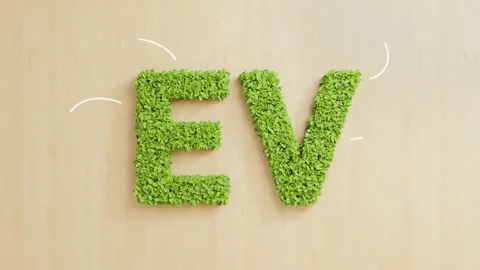 Green leaves forming EV text on wood wall with mind map writing eco friendly vis Stock-Footage 165478905