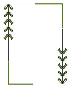 Green leaves frame a clean white space. Simple lines define a minimalist bo.. Stock Illustration