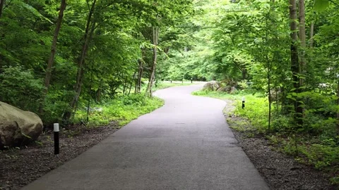 Green leaves frame a gentle, winding path Stock Footage 340435338