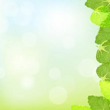 Green leaves frame Illustrazione stock