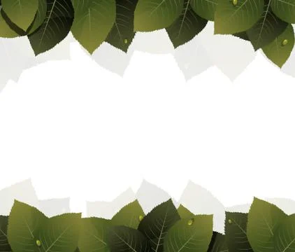 Green leaves frame Stock Illustration
