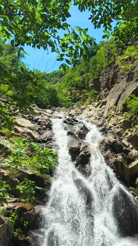 Green leaves frame a rushing waterfall. Vucjanka Canyon, Serbia. Vertical Stock Footage 341130298
