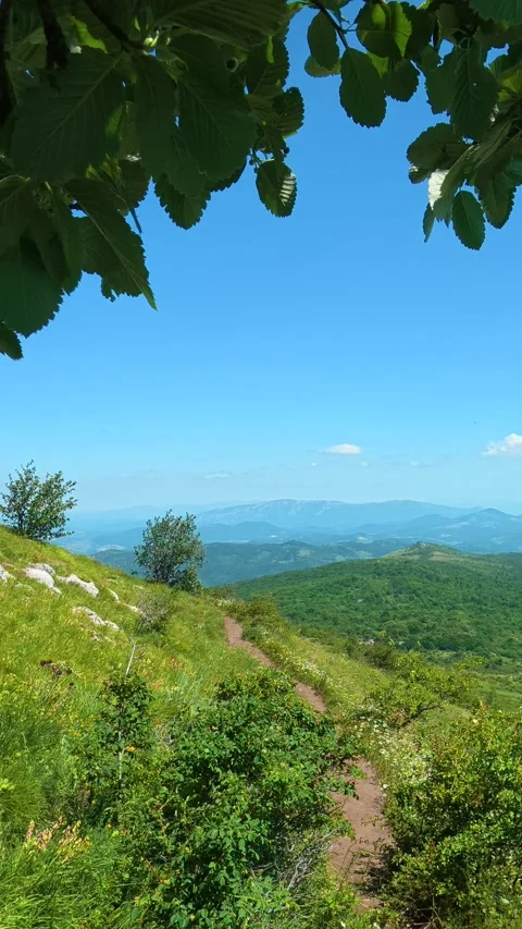 Green leaves frame a sunlit mountain trail. Mount Rtanj, Serbia. Vertical 스톡 동영상 342318123