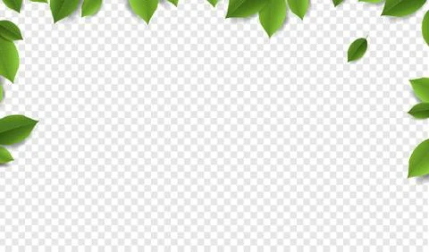 Green Leaves Frame With Transparent Background Stock Illustration